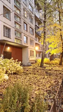 2-к кв. Санкт-Петербург просп. Луначарского, 70К1 (46.3 м)