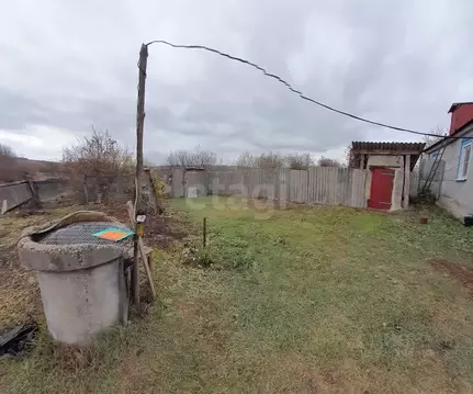 Дом в Белгородская область, Красногвардейский район, Никитовское ...