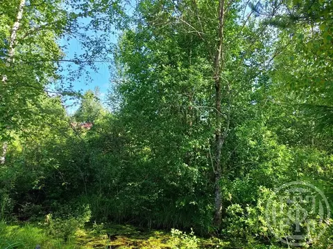 Участок в Ленинградская область, Выборгский район, Рощинское городское ...