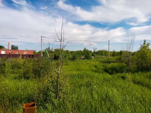 Участок в Саратовская область, Энгельс муниципальное образование, ...