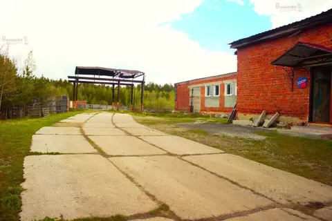Производственное помещение в Свердловская область, Белоярский ...