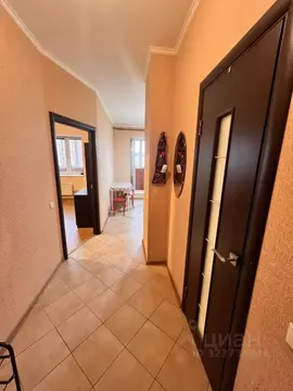 1-к кв. Московская область, Люберцы 115-й кв-л, ул. Авиаторов, 11 ...