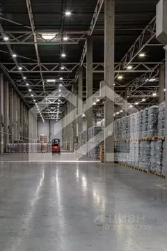 Склад в Московская область, Богородский городской округ, пос. Затишье, ...