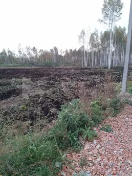 Участок в Тюменская область, Нижнетавдинский муниципальный округ, ...