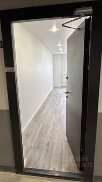 Студия Санкт-Петербург ул. Крыленко, 36к2 (24.8 м)