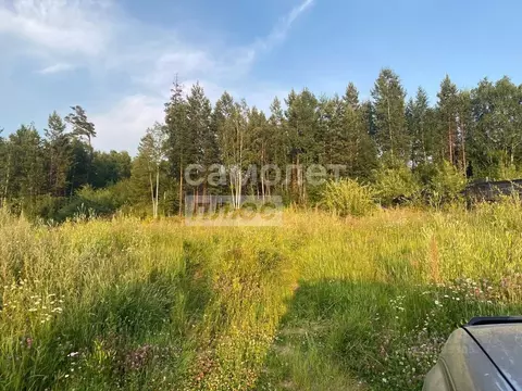 Участок в Иркутская область, Иркутск Лесной мкр, Лыжная ул., 25 (9.1 ...