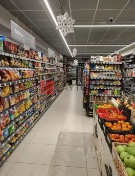 Торговая площадь в Москва Малая Ботаническая ул., 3 (349 м)