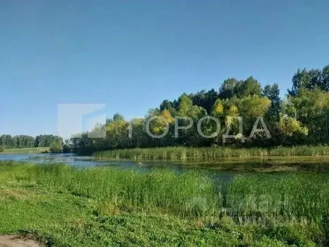 Участок в Новосибирская область, Новосибирский район, Морской ...