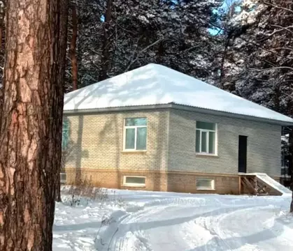 Коттедж в Новосибирская область, Новосибирский район, Кудряшовский ...