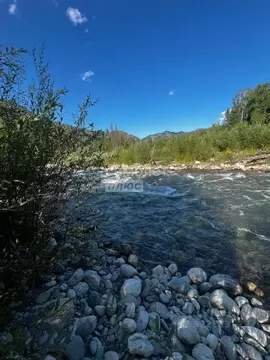 Участок в Алтай, Усть-Коксинский район, с. Мульта Школьная ул. (130.0 ...
