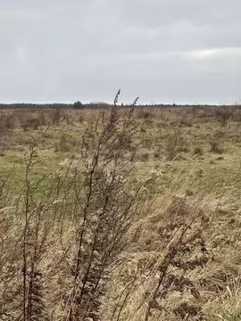 Участок в Калининградская область, Гвардейский муниципальный округ, ...