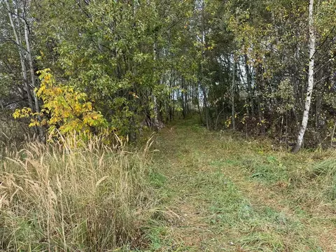 Участок в Московская область, Богородский городской округ, д. Новое ...