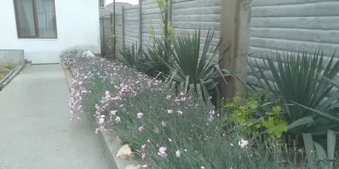 Дом в Крым, Бахчисарай ул. Чокъракъ, 27 (40 м)