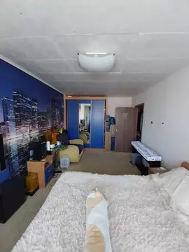 2-к кв. Хабаровский край, Хабаровск Волочаевская ул., 23 (52.0 м)