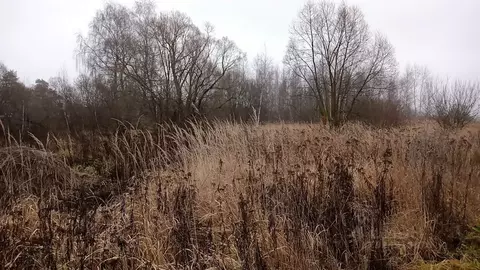 Участок в Московская область, Егорьевск муниципальный округ, д. Козино ...