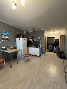 Студия Новосибирская область, Новосибирск Беловежская ул., 50 (27.3 м)