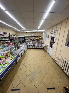 Торговая площадь в Владимирская область, Ковров ул. Киркижа, 14А (133 ...