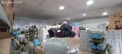 Помещение свободного назначения (486.6 м)