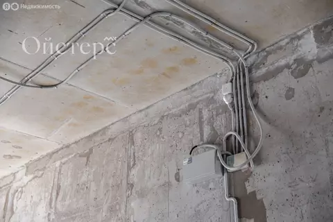 Помещение свободного назначения (86.5 м)