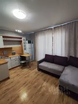 Студия Челябинская область, Челябинск просп. Краснопольский, 3В (28.0 ...