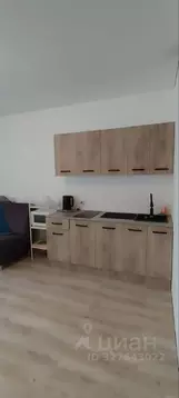 Студия Башкортостан, Уфа просп. Дружбы Народов, 59 (30.0 м)