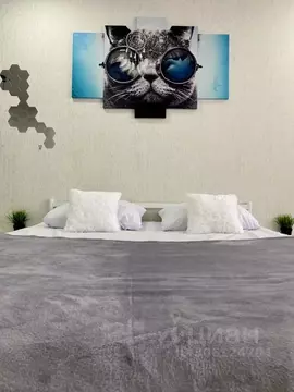 Студия Липецкая область, Липецк ул. С.С. Бехтеева, 7 (33.0 м)