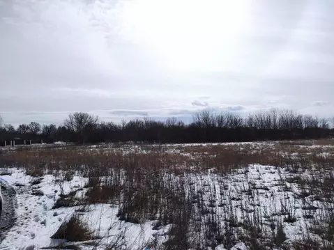 Участок в Воронежская область, Новоусманский район, Хреновское с/пос, ...