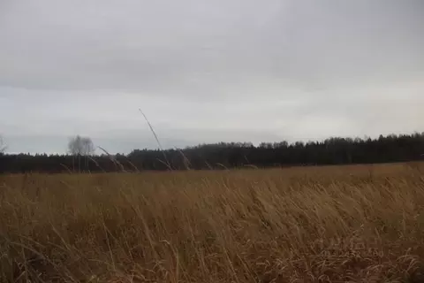 Участок в Московская область, Шаховская муниципальный округ, с. Белая ...