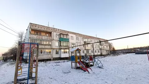 3-к кв. Нижегородская область, Богородский муниципальный округ, д. ...