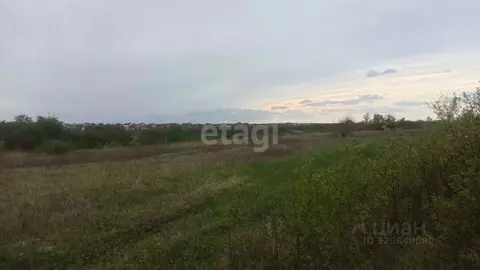 Участок в Белгородская область, Ракитянский район, Дмитриевское с/пос, ...