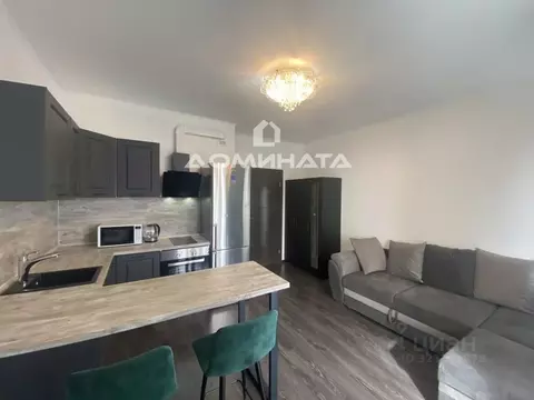 Студия Санкт-Петербург аллея Арцеуловская, 19 (25.0 м)