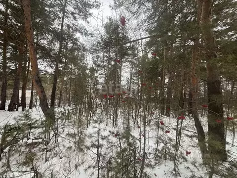 Участок в Свердловская область, Сысертский муниципальный округ, пос. ...