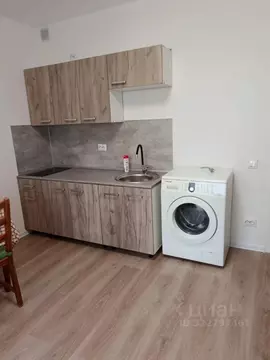 Студия Санкт-Петербург ул. Пахомовская, 25 (24.0 м)