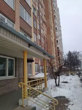 2-к кв. Пензенская область, Пенза ул. Пушанина, 54 (54.0 м)