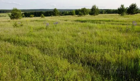 Участок в Нижегородская область, Сосновский муниципальный округ, д. ...