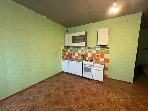 Студия Калужская область, Совхоз Боровский с/пос, д. Кабицыно, ...