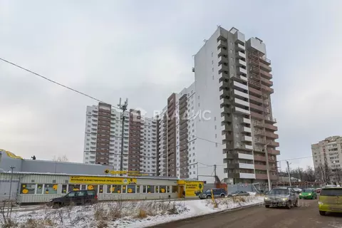 Студия Владимирская область, Владимир Добросельская ул., 180 (25.0 м)