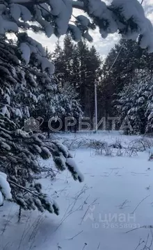 Участок в Свердловская область, Тугулым пгт пл. 50-летия Октября (8.0 ...