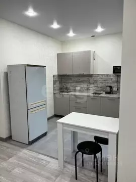 Студия Тюменская область, Тюменский муниципальный округ, д. Дударева ...