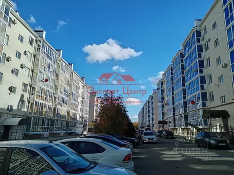 1-к кв. Ставропольский край, Михайловск Шпаковский район, ул. Ленина, ...