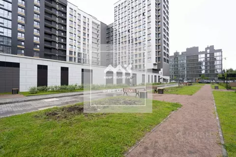 Студия Санкт-Петербург Кубинская ул., 82к3с1 (22.5 м)