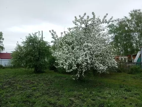 Участок в Курганская область, с. Кетово, Урожай СНТ  (6.3 сот.)
