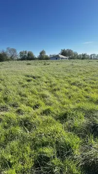 Участок в Калининградская область, Гурьевский муниципальный округ, ...