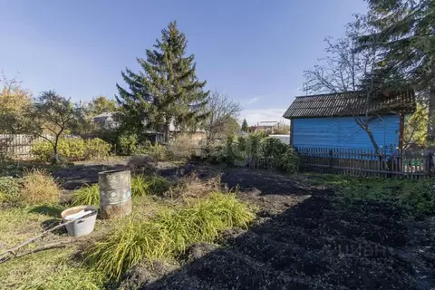 Дом в Тюменская область, Тюмень Плодовое СНТ, ул. Рябиновая (20 м)