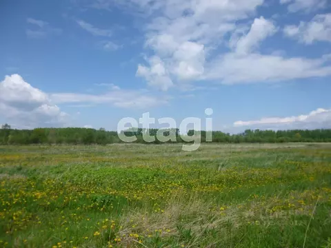 Участок в Свердловская область, Горноуральский муниципальный округ, ...