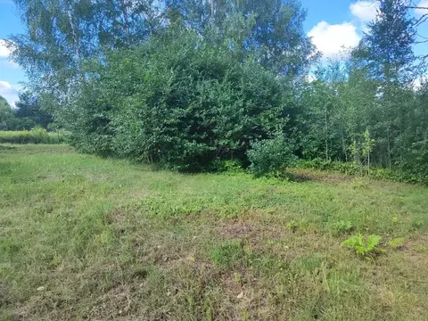 Участок в Московская область, Лотошино муниципальный округ, д. ...