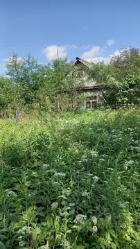 Участок в Ивановская область, Иваново пос. Дальний,  (4.92 сот.)