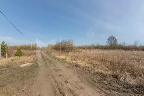 Участок в Тюменская область, Тюмень Поле Чудес садовое товарищество, ...