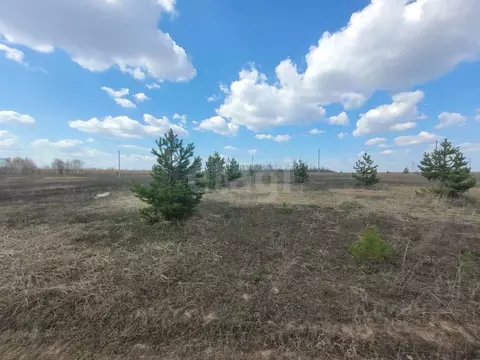 Участок в Татарстан, Лаишевский район, с. Сокуры  (6.0 сот.)