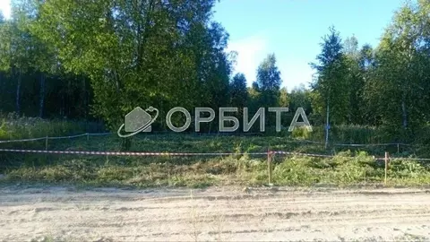 Участок в Тюменская область, Нижнетавдинский муниципальный округ, ...